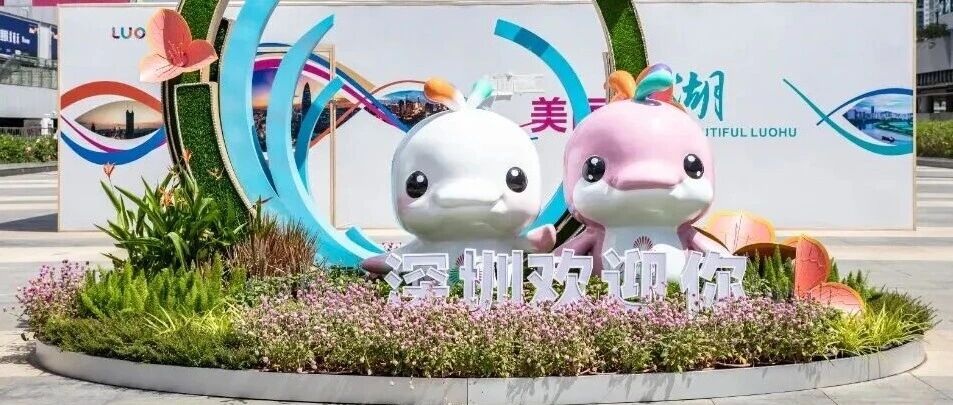 是“大灣雞”魔法，還是“數(shù)字及廣告標(biāo)識”行業(yè)新秘籍？